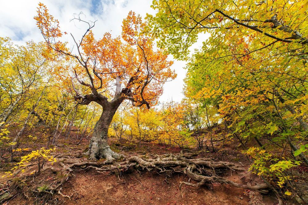 Серия travel-фотографий