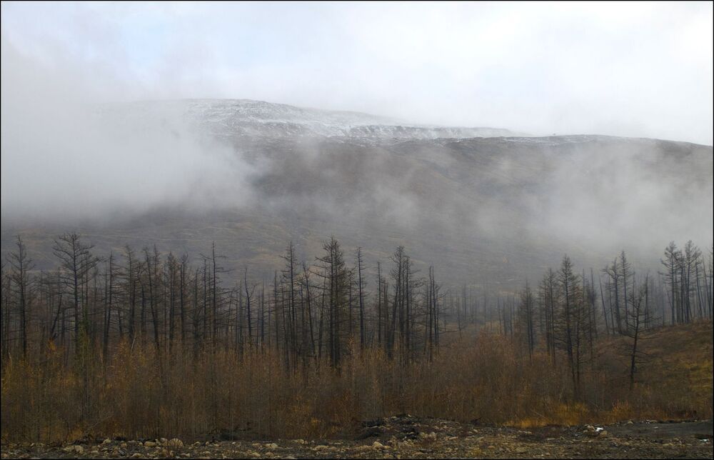Осени серость