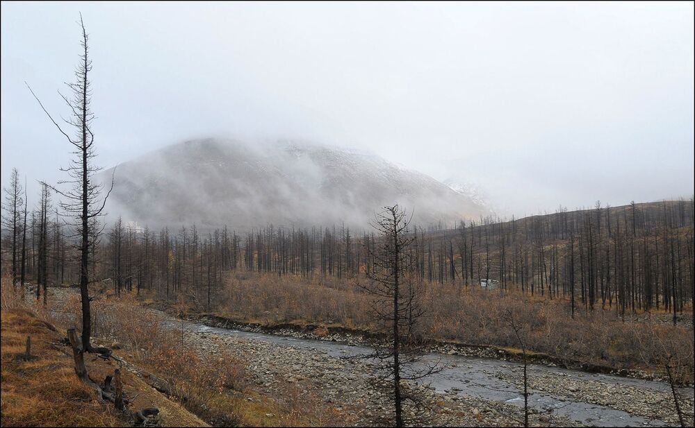 Осени серость