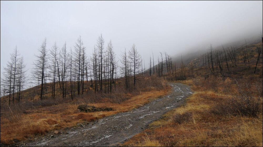 Осени серость