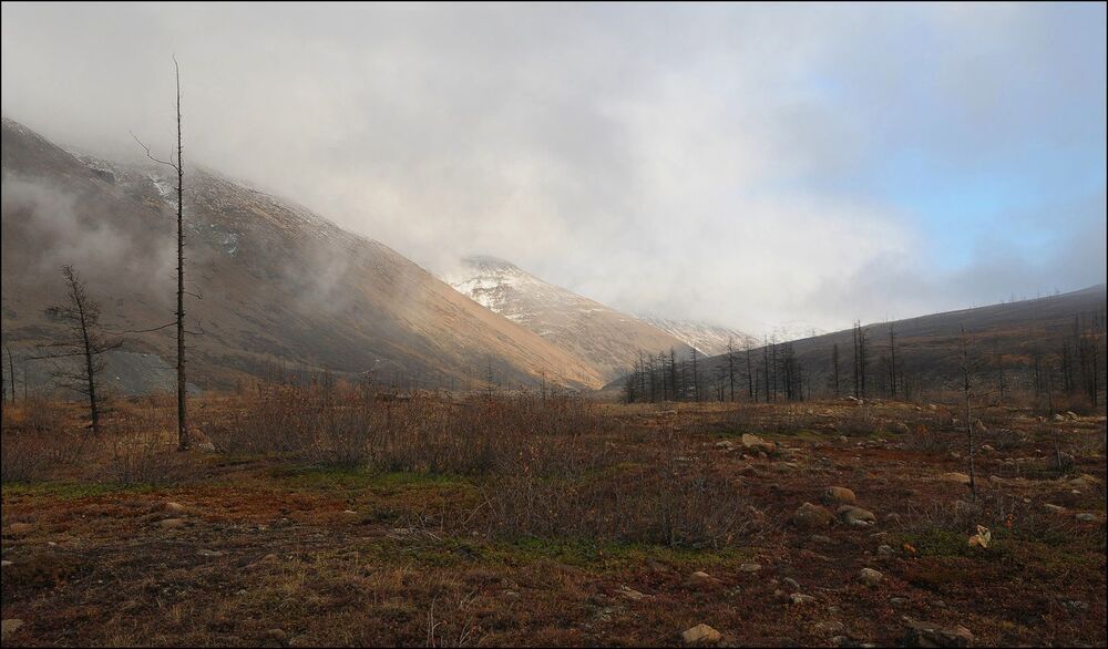 Осени серость
