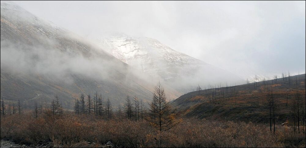 Осени серость