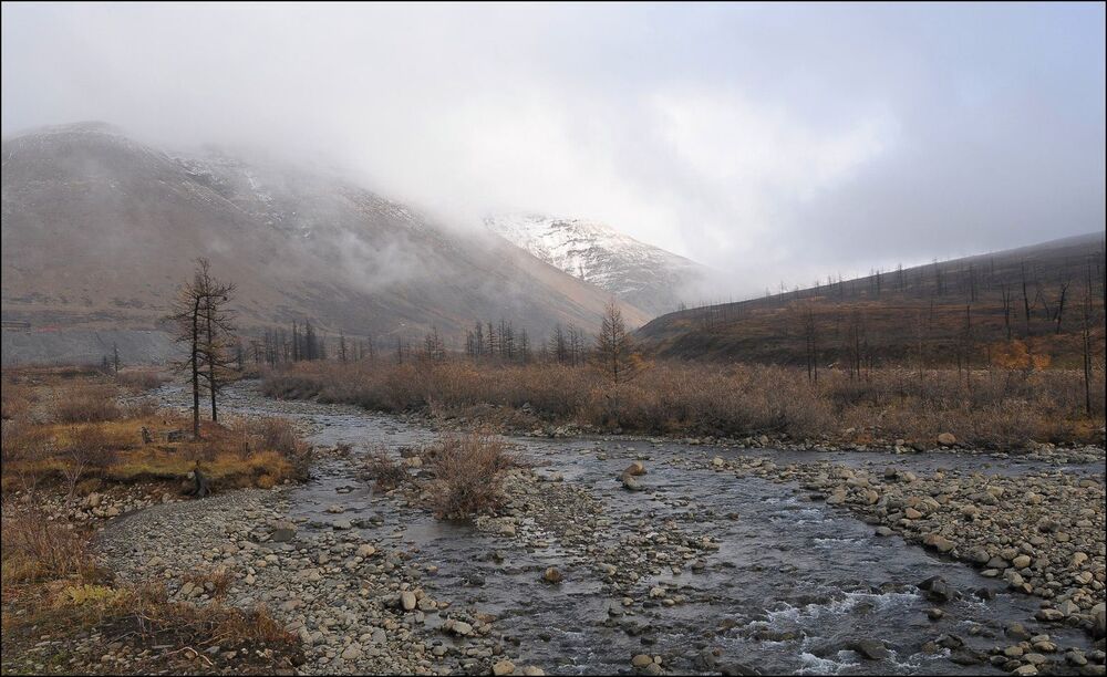Осени серость