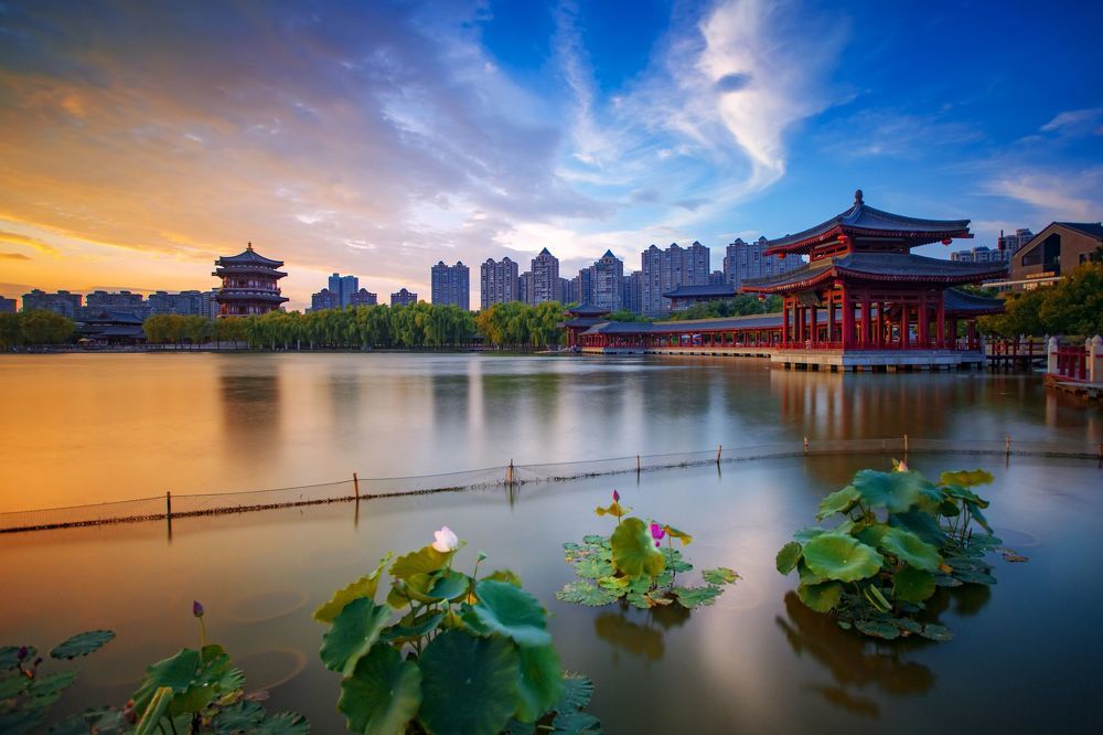 荷塘暮色-Twilight in the lotus pond
