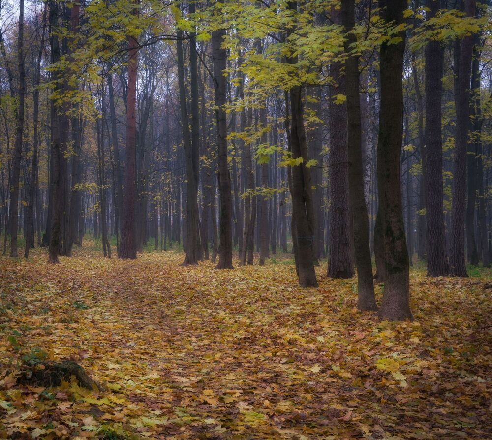 Осень