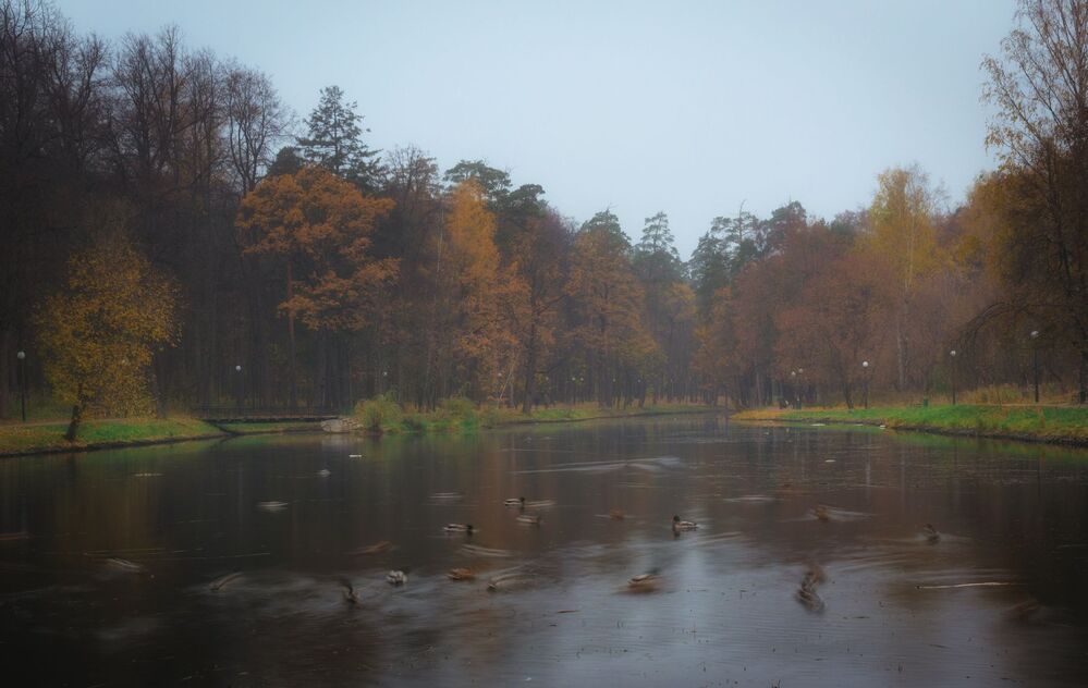 Осень