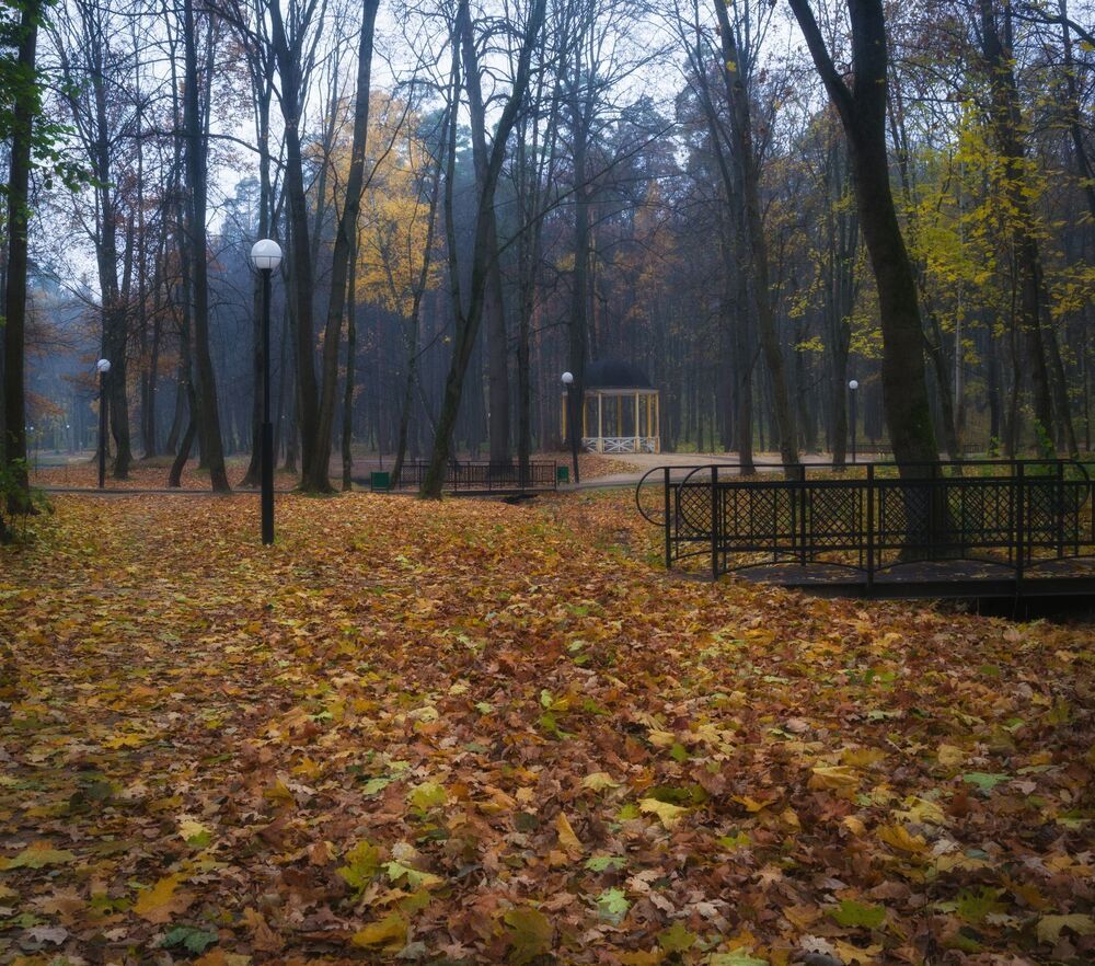 Осень