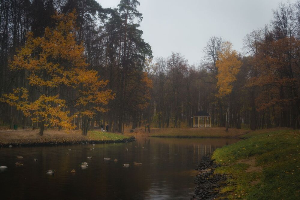 Осень