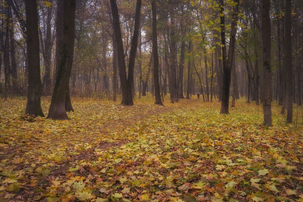 Осень