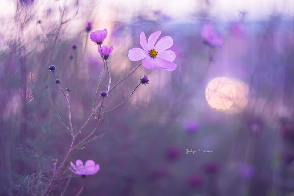 &hearts; мечты о лете