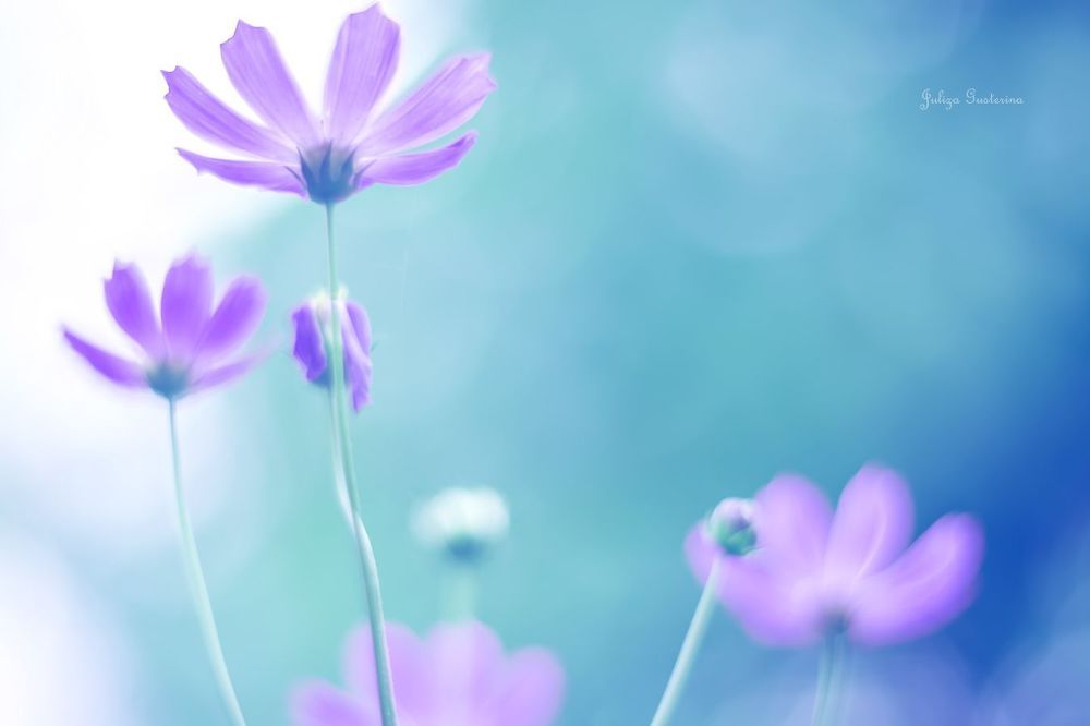 &hearts; мечты о лете