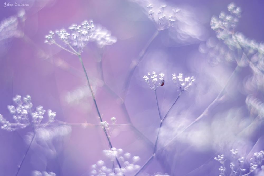 &hearts; мечты о лете