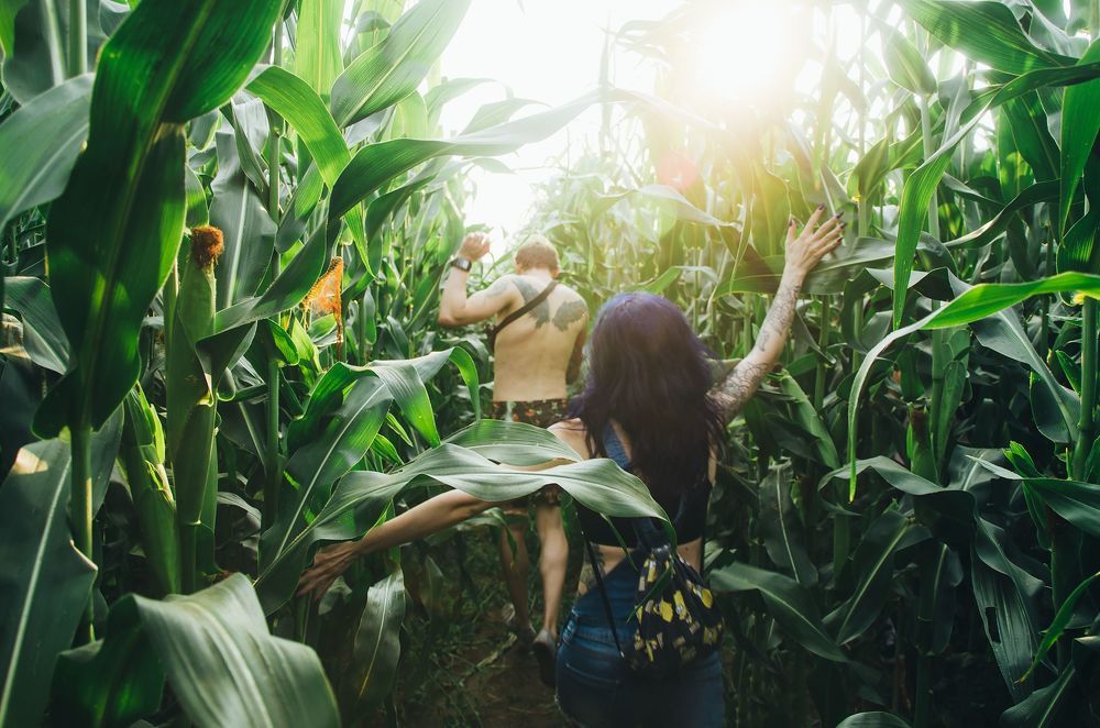 Lovestory Portfolio