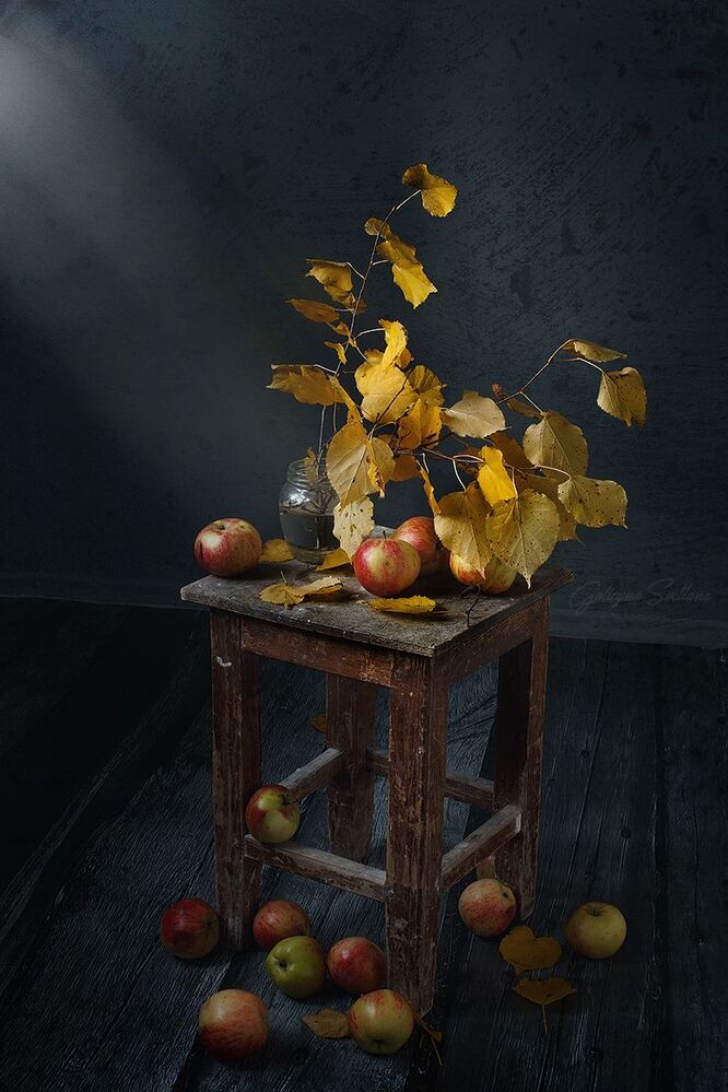 My Still life