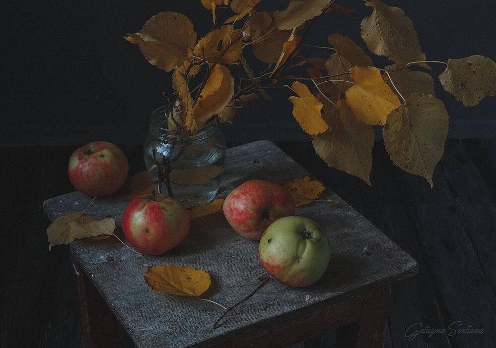 My Still life