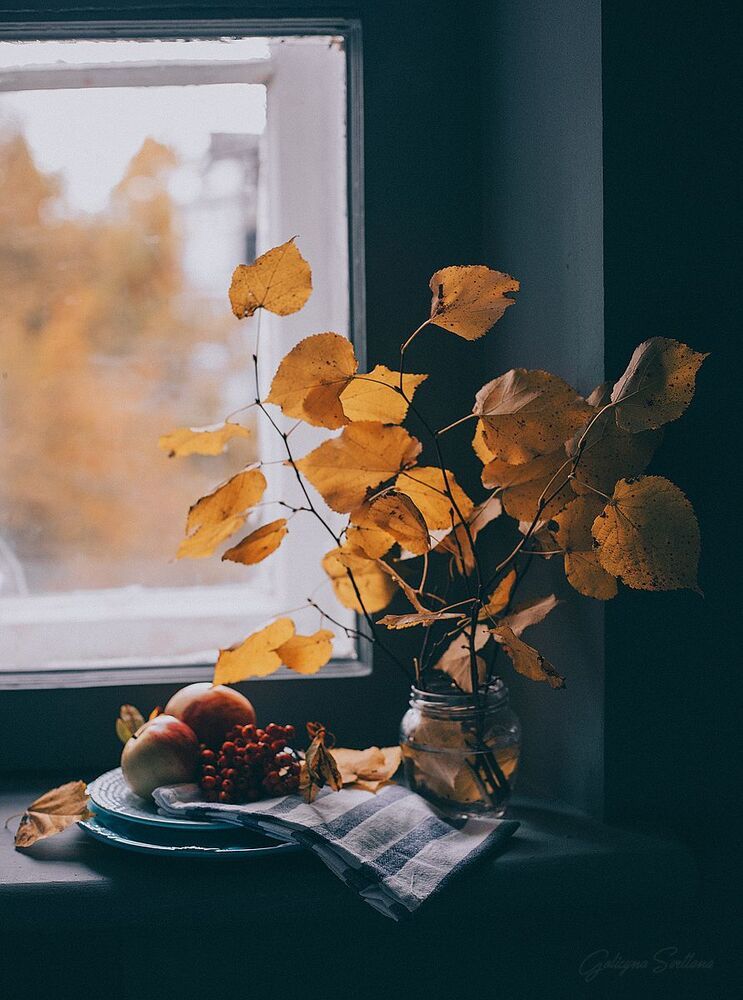 My Still life