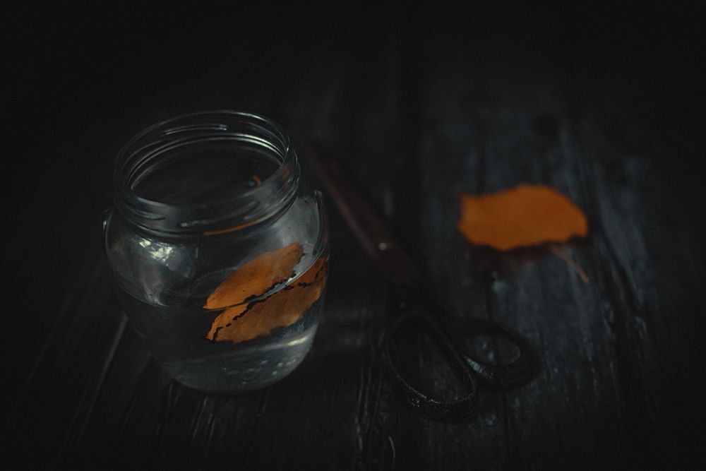 My Still life