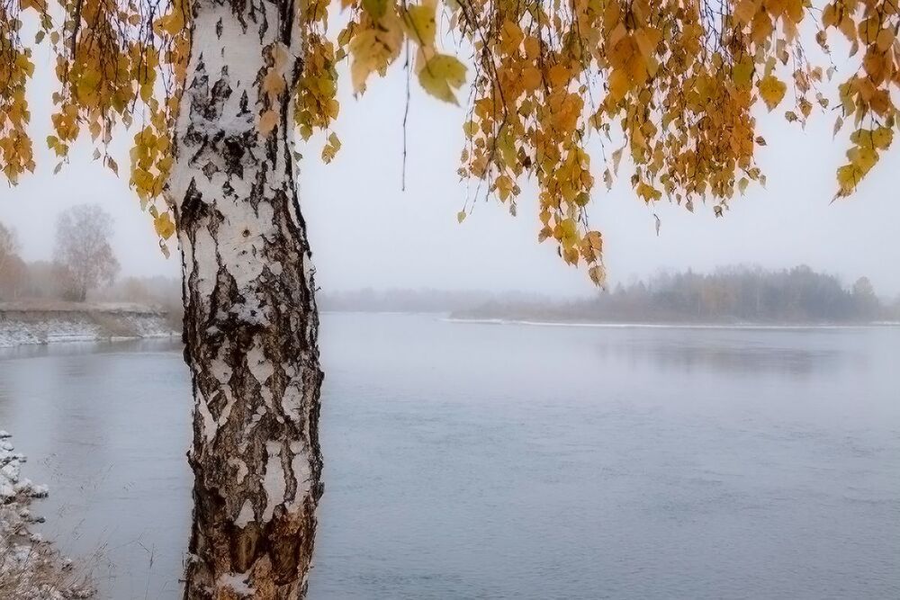 Первый снег на Оке в октябре