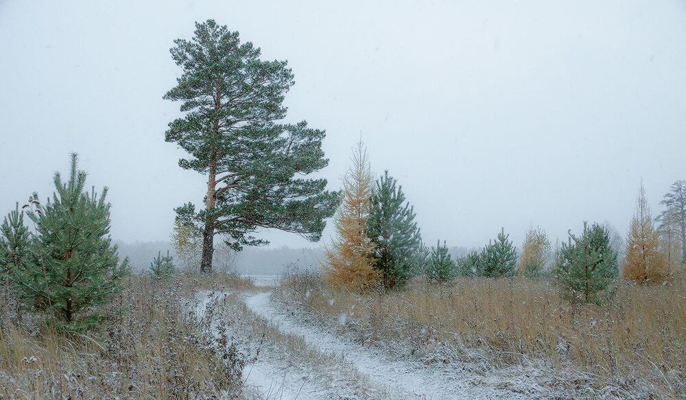 Первый снег на Оке в октябре