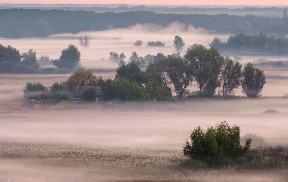 foggy rhythms