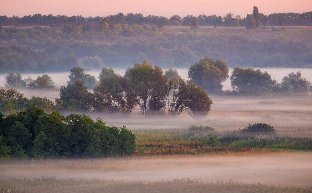 foggy rhythms