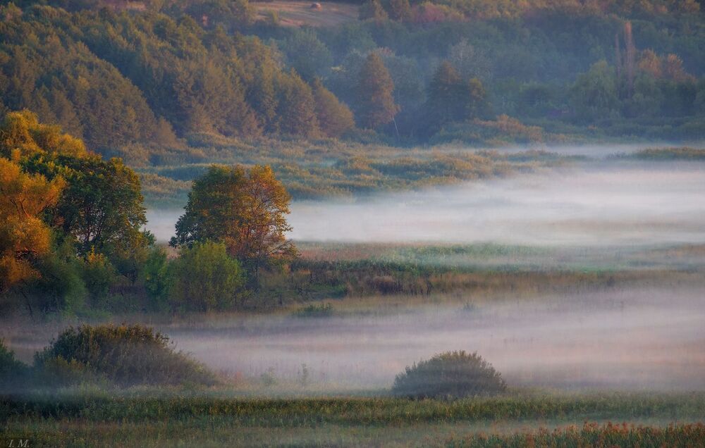 foggy rhythms