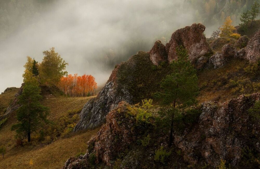 Осинки.