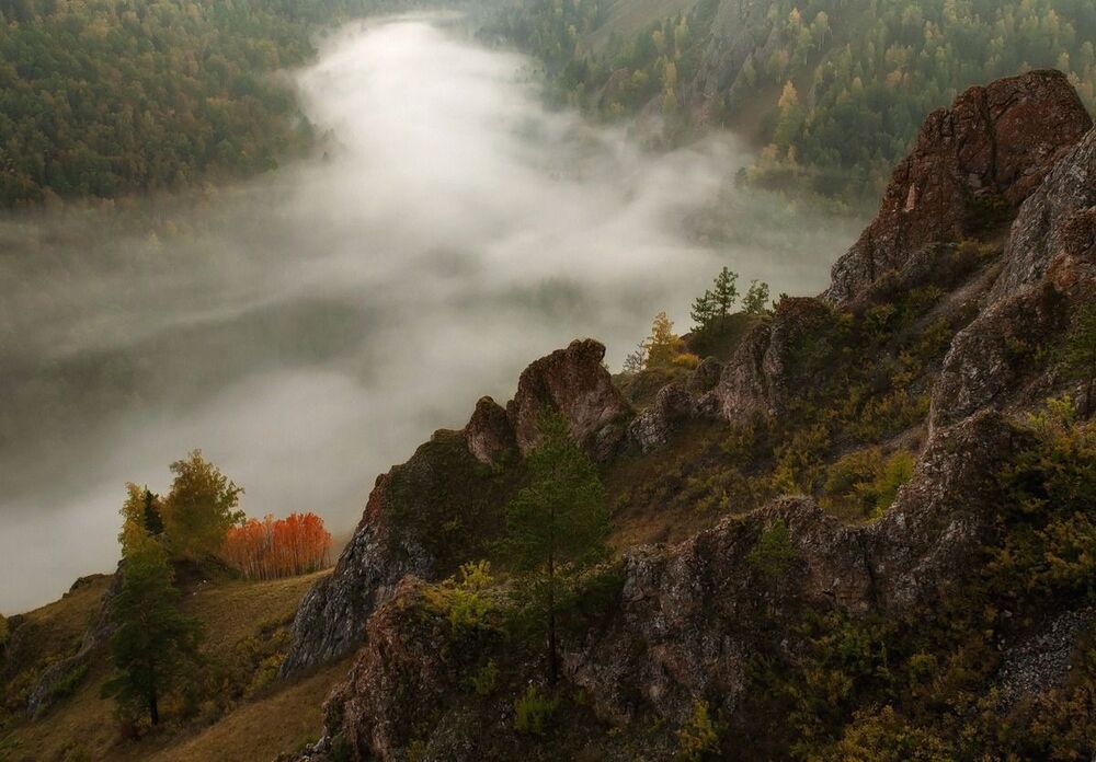 Осинки.