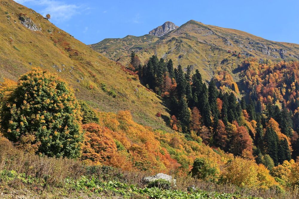 Горная осень