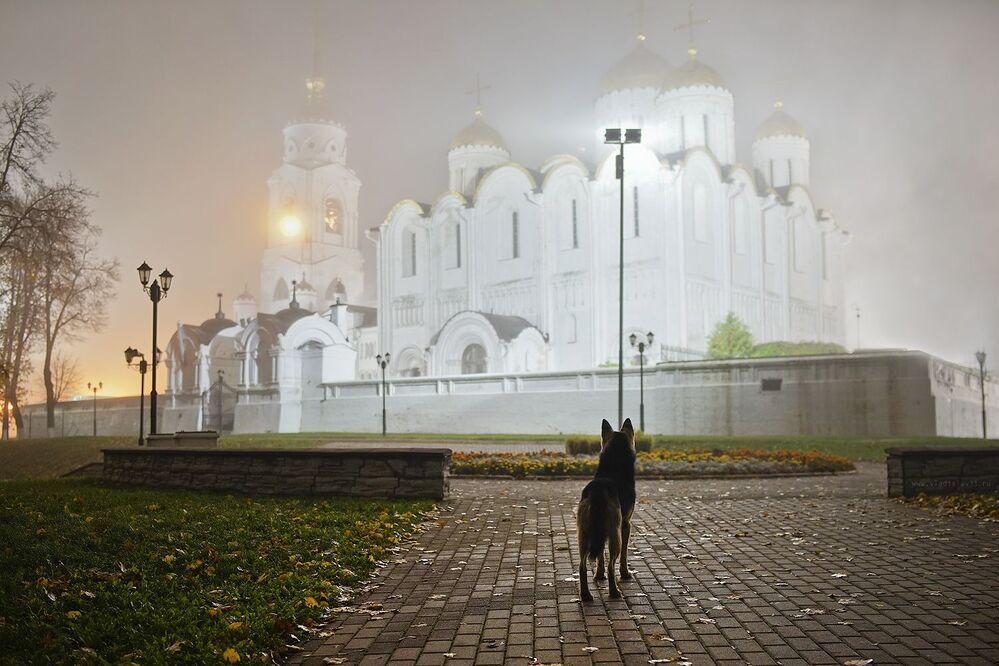 На спящий город опускается туман...