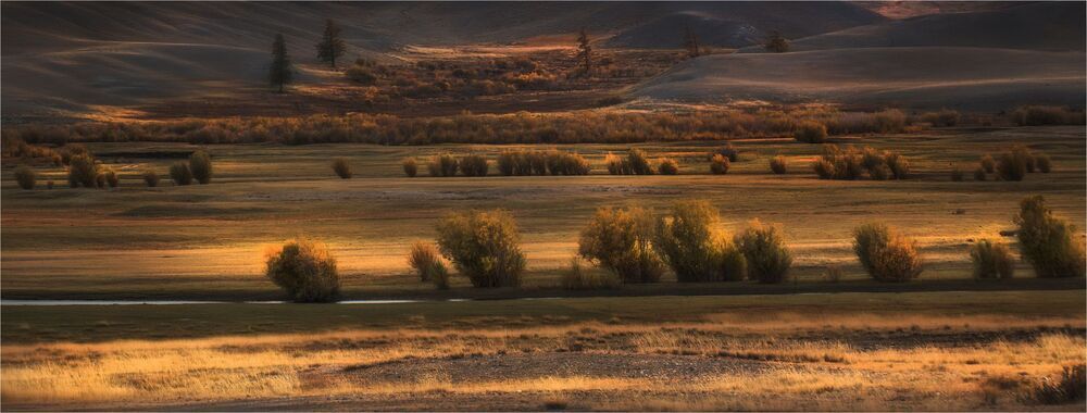 Степные рисунки