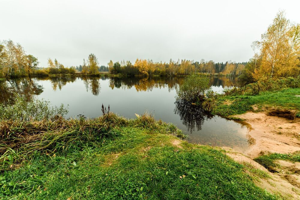 Photo 985860