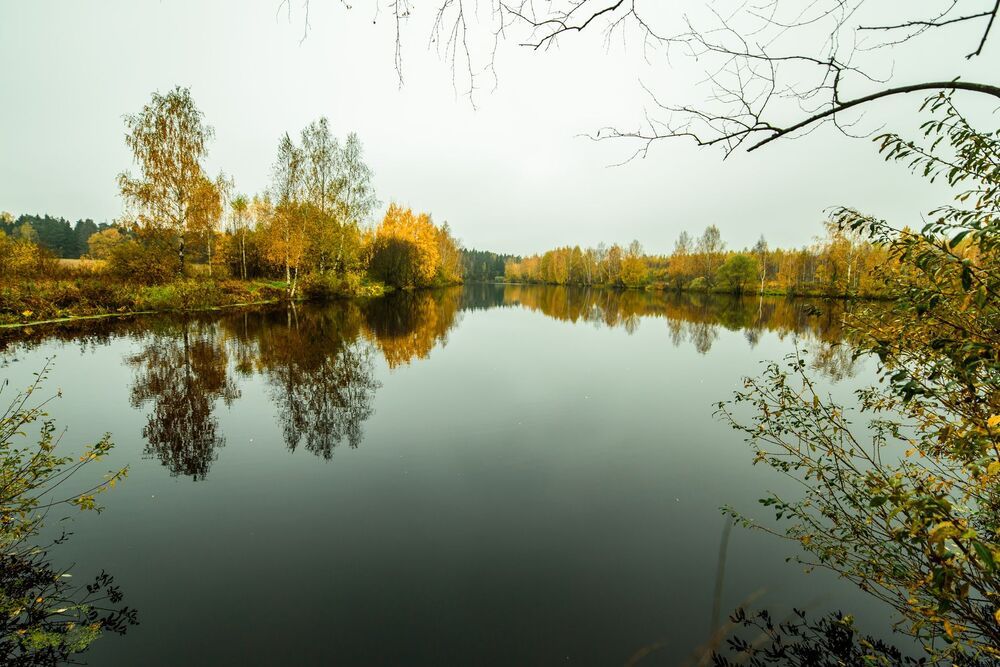 Photo 985861