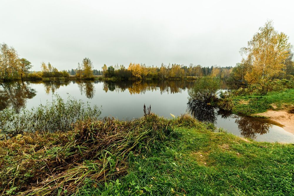 Photo 985863