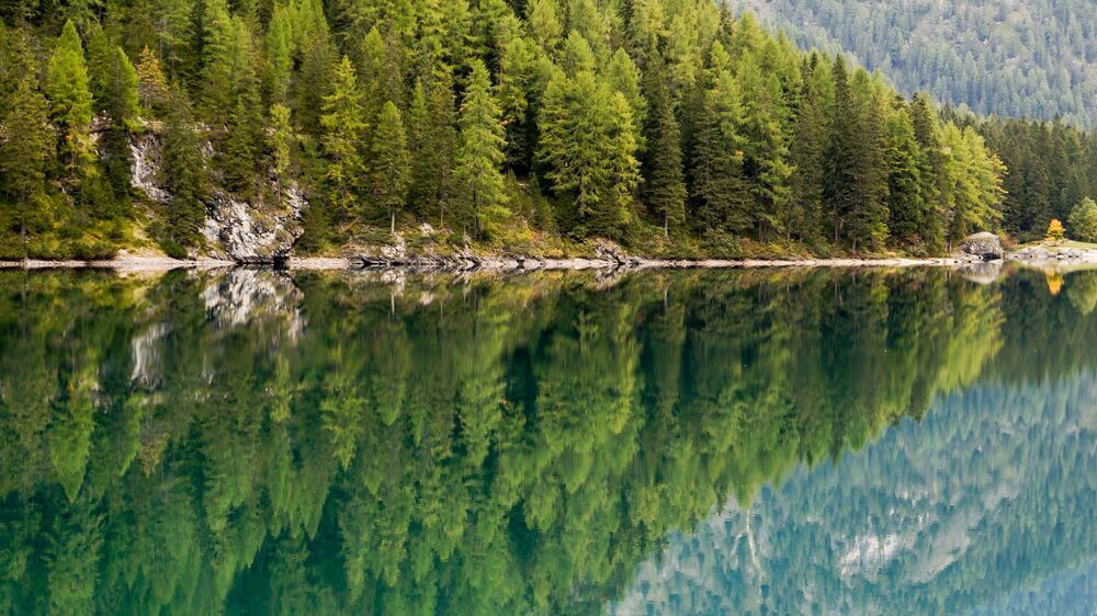Reflections of The Braise lake