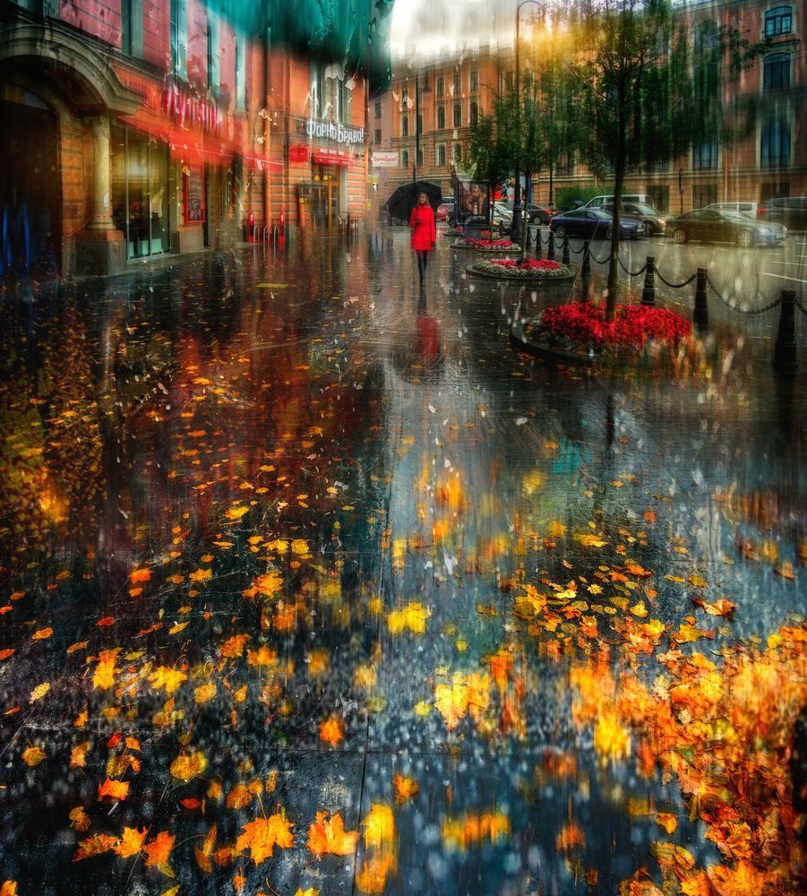 Осенние фотографии..Каменноостровский проспект