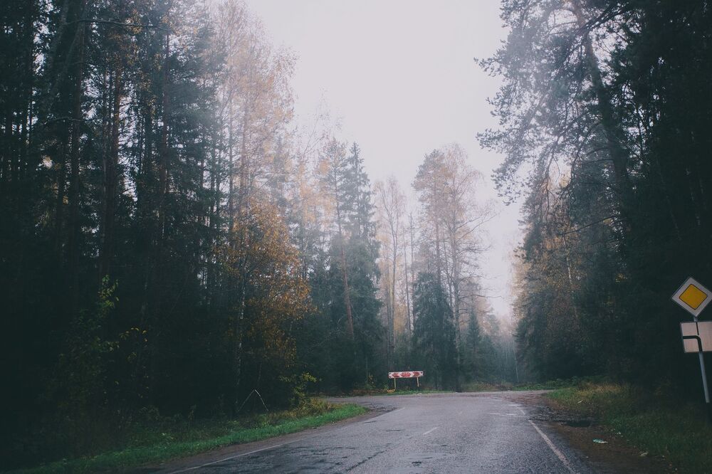 Вдыхая осень