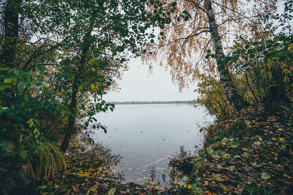 Вдыхая осень