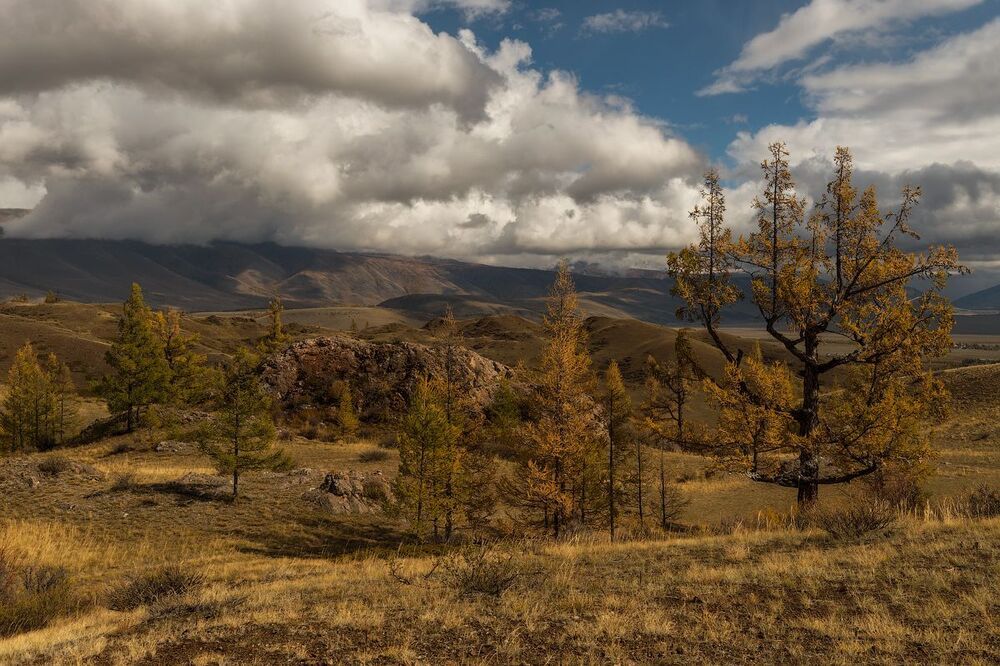На просторах Курая
