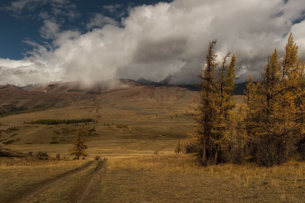 На просторах Курая