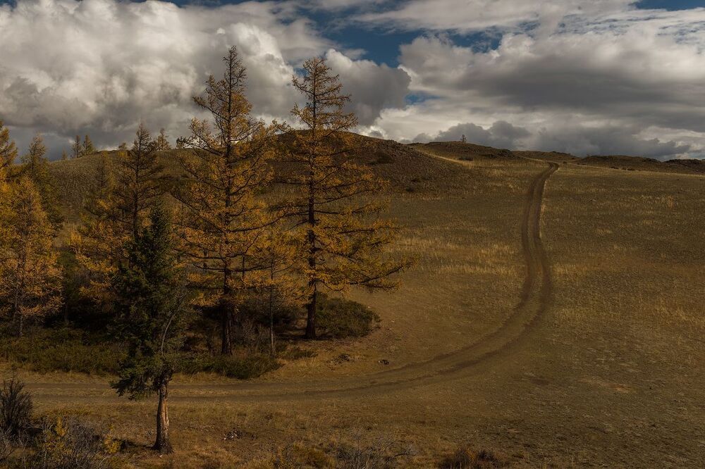 На просторах Курая