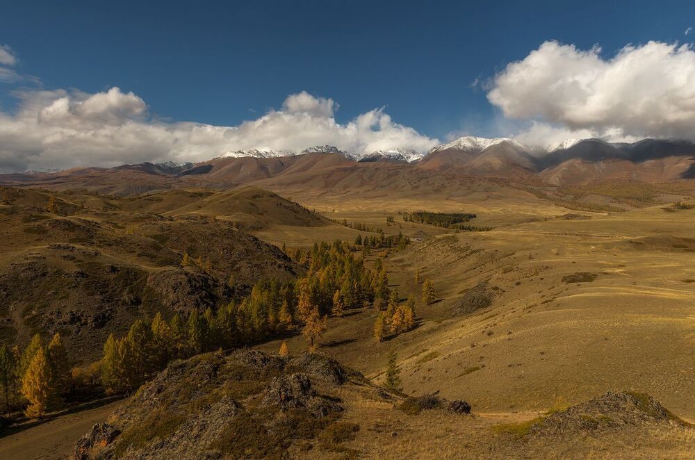 На просторах Курая
