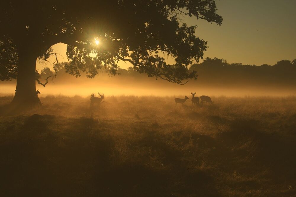 Monday Morning