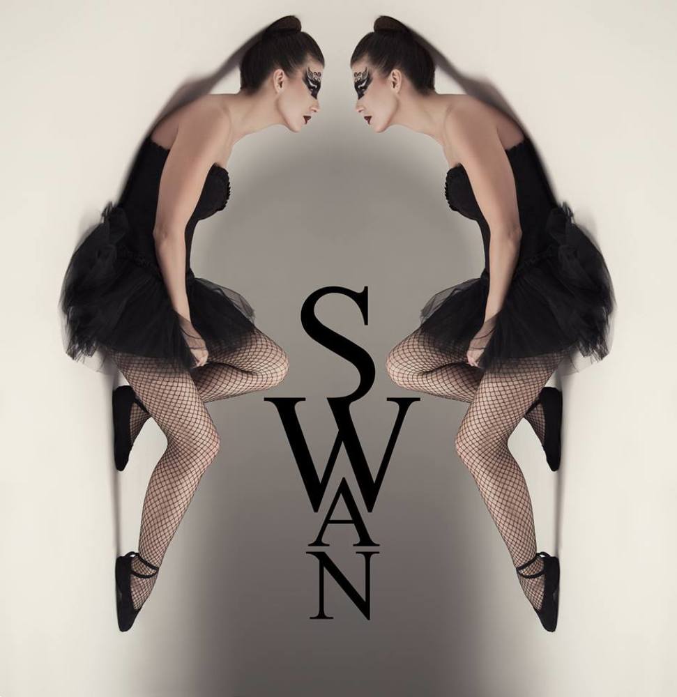 Unusual Swan