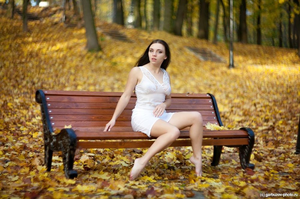 Душа осеннего леса