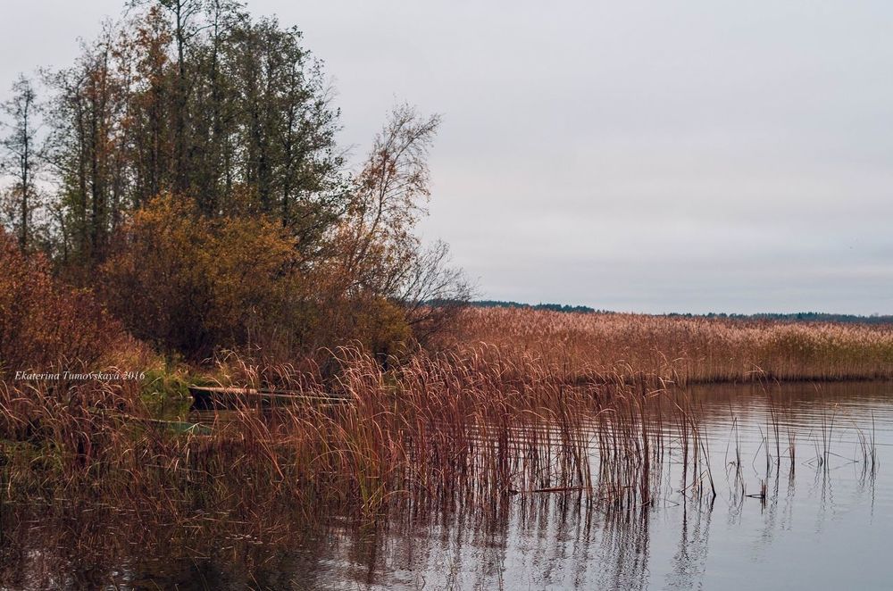 Photo 989756