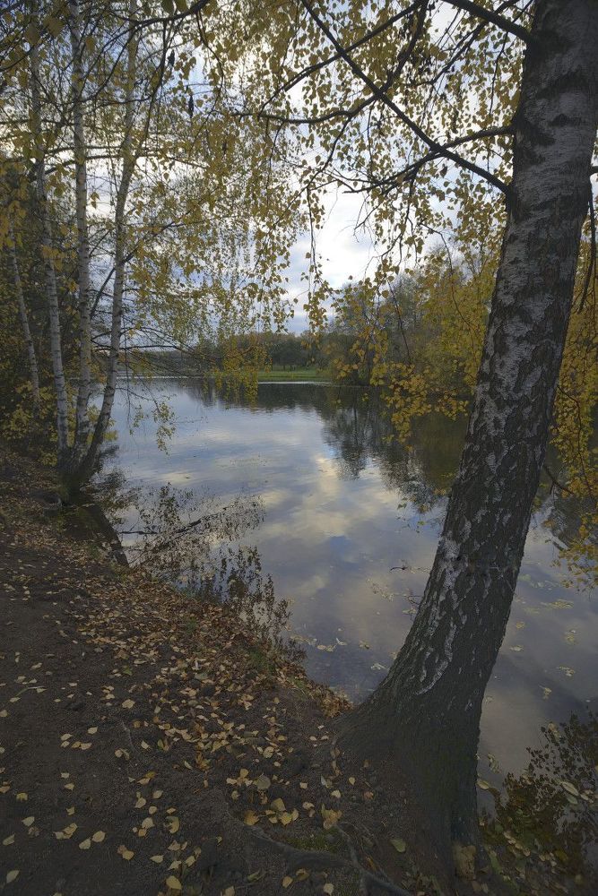 Осенний парк