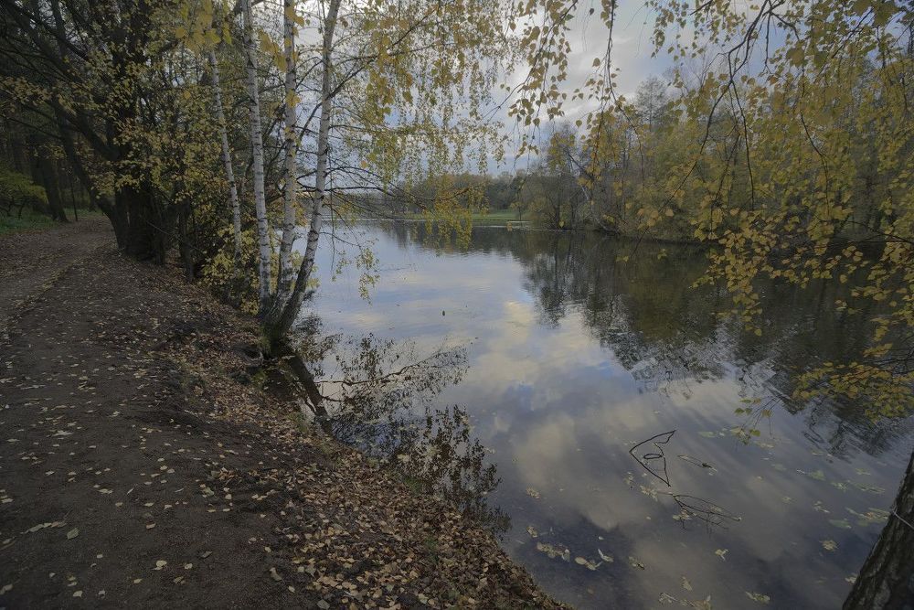 Осенний парк