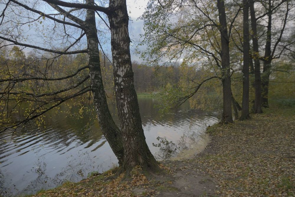 Осенний парк