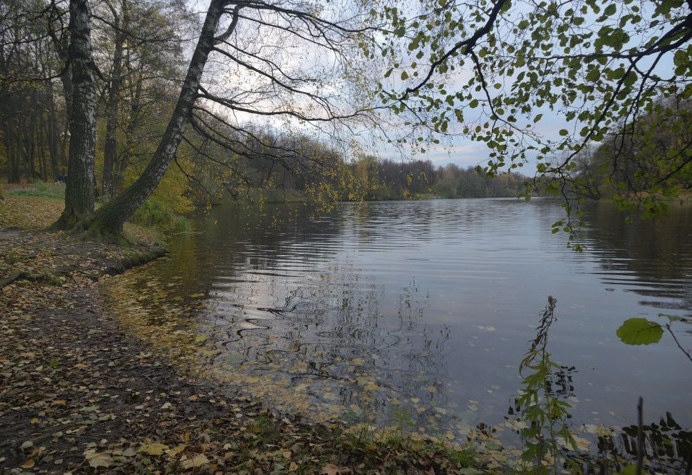 Осенний парк